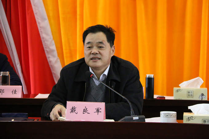 集團黨委委員、副總經理、總工程師戴良軍發(fā)表講話